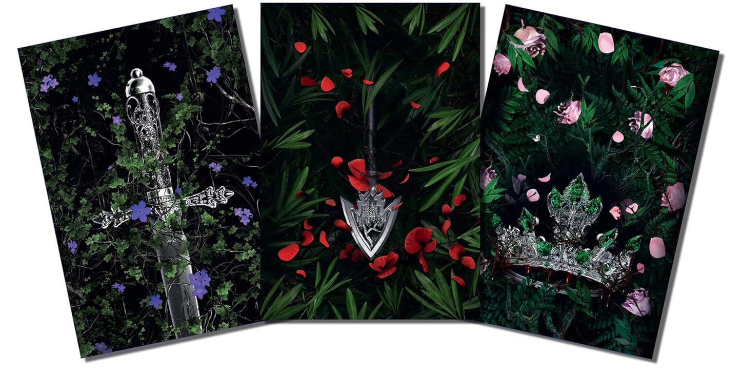 Lauren Roberts: Powerless Trilogy Notebook Boxed Set (Set of 3)