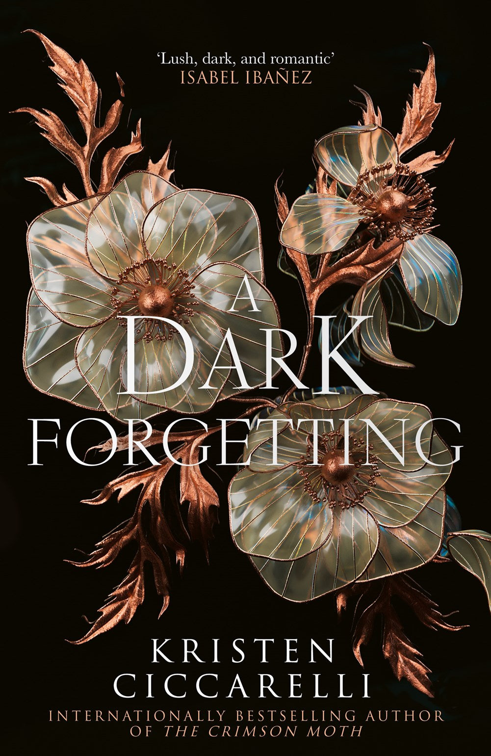 A Dark Forgetting - The Enchanted Spine