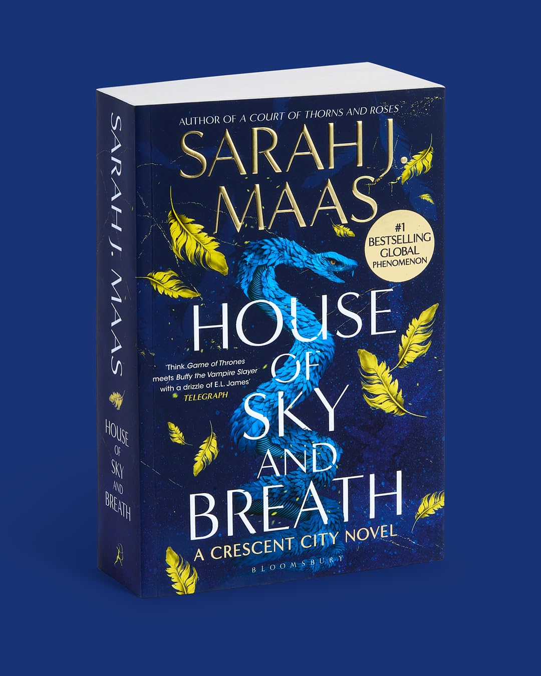 House of Sky and Breath - The Enchanted Spine