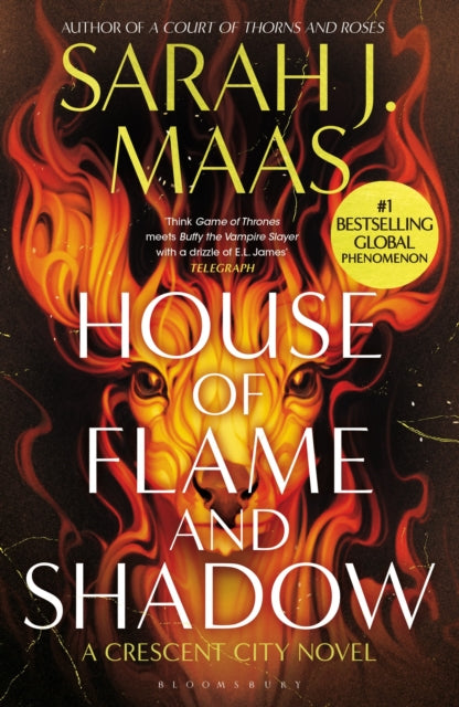 House of Flame and Shadow | Paperback