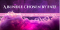 A Bundle Chosen by Fate (Mystery Trio) - The Enchanted Spine