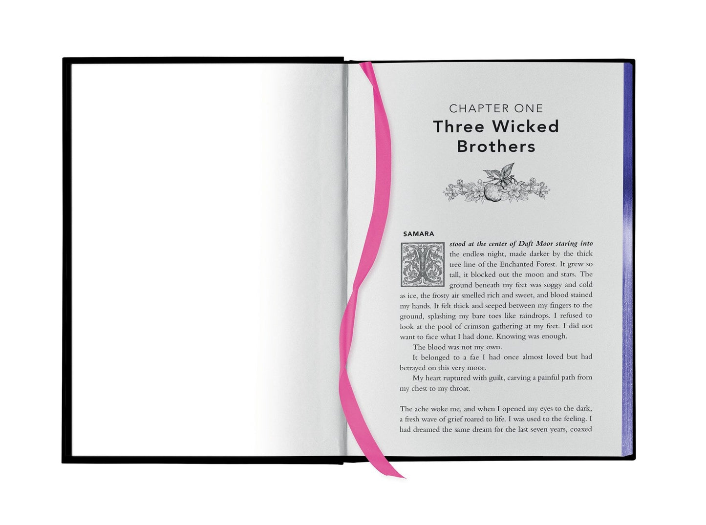 Fairy Tale Retellings, Volume I - The Enchanted Spine
