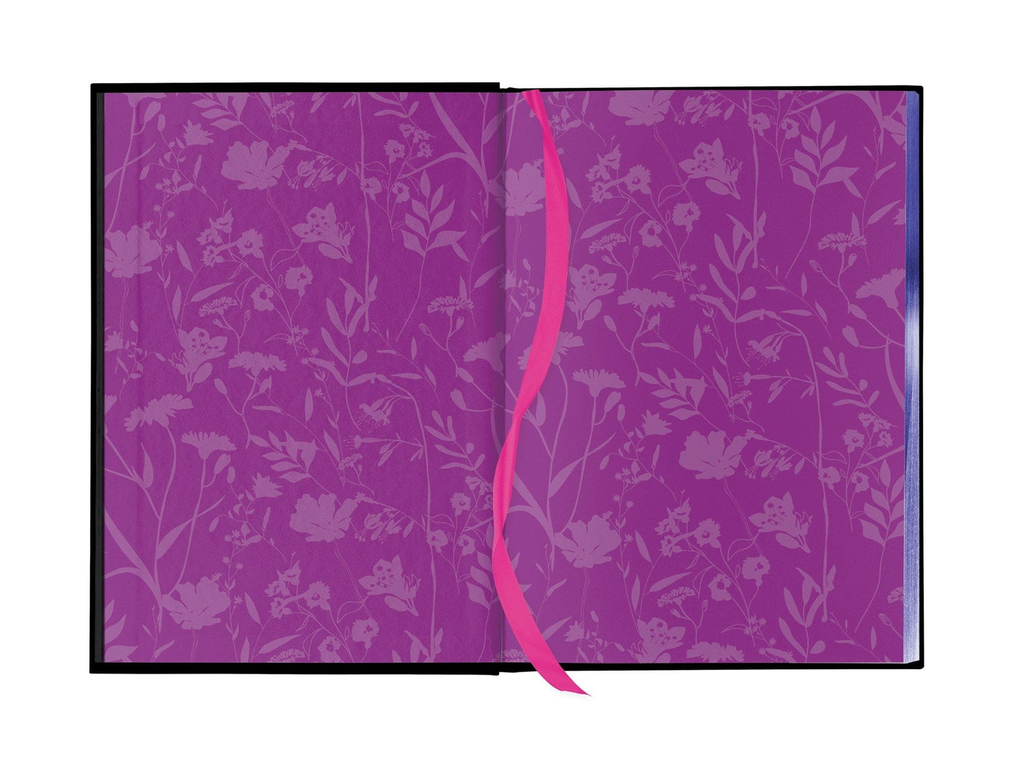 Fairy Tale Retellings, Volume I - The Enchanted Spine