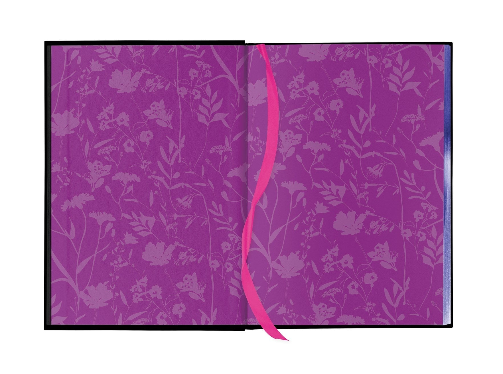 Fairy Tale Retellings, Volume I - The Enchanted Spine