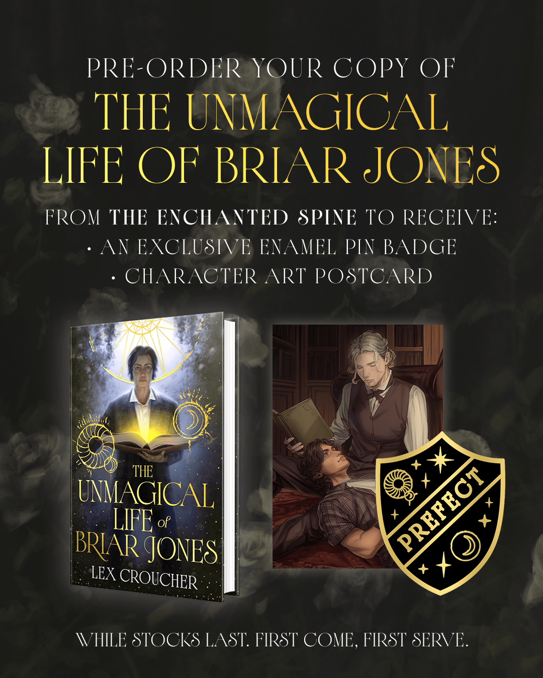 The Unmagical Life of Briar Jones | Hardcover - The Enchanted Spine